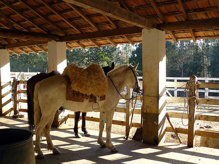 BR0911SM037_catucaba-stables.jpg [© Last Frontiers Ltd]