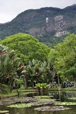 Image: Rio de Janeiro - Rio de Janeiro