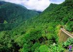 Paranagu train - Curitiba, Morretes and the Atlantic rainforest, Brazil