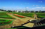 Image: Curitiba - Curitiba, Morretes and the Atlantic rainforest