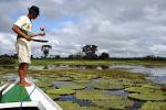 Image: Flotel Piranha - Amazon lodges and cruises, Brazil