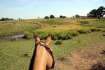 Image: Fazenda Santa Sophia - Pantanal lodges