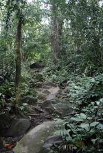 Image: Ilha Grande - Angra and Ilha Grande