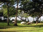Image: Vila dos Orixas - Morro de So Paulo, Boipeba and Praia do Forte, Brazil