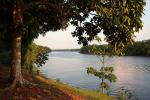 Dolphin Lodge - Amazon lodges and cruises, Brazil