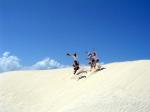 Dune fun - Natal, Recife and surrounds, Brazil