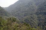 Image: Serra Verde train - Curitiba, Morretes and the Atlantic rainforest