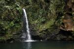 Image: Sebui Lodge - Curitiba, Morretes and the Atlantic rainforest, Brazil