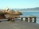 Image: Ilha do Papagaio - Florianopolis and the southern coasts