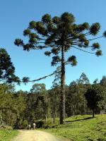 Estalagem Villa da Montanha - The Serra Geral, Brazil