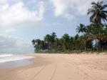 Image: Kiaroa Beach Resort - Southern Bahia