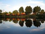 Turtle Lodge - Amazon lodges and cruises, Brazil