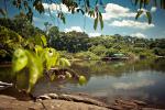 Image: Cristalino Lodge - Alta Floresta, Brazil