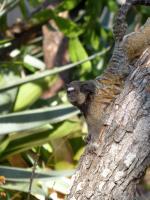 Image: Pousada Trijun��o - The Cerrado, Brazil