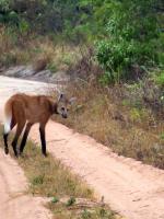 Image: Pousada Trijun��o - The Cerrado