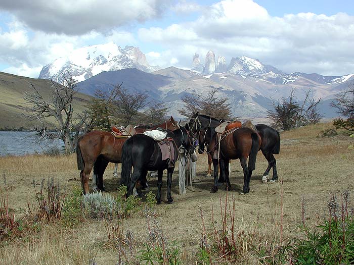 Riding in Chile image
