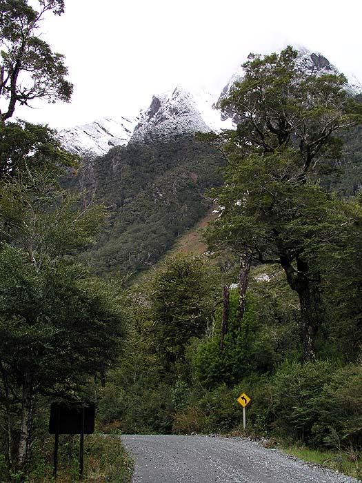 CH1005SM052_puyuhuapi_hike_to_pudu_glacier.jpg [© Last Frontiers Ltd]