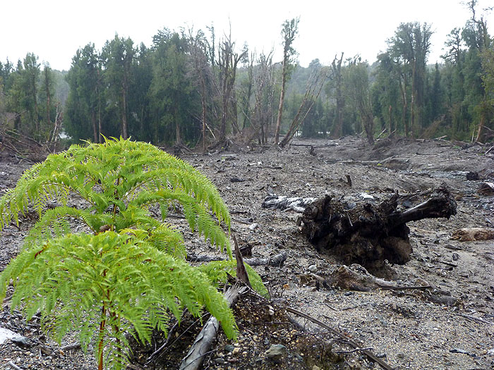 CL0214EP0925_chaiten-volcano-damage.jpg [© Last Frontiers Ltd]