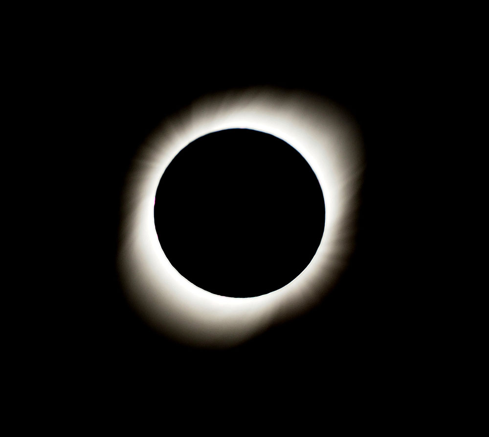 CL0719DC02_vicuna-eclipse.jpg [© Last Frontiers Ltd]