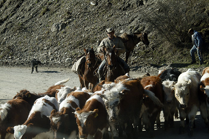 CL0909EM417_carretera-austral.jpg [© Last Frontiers Ltd]