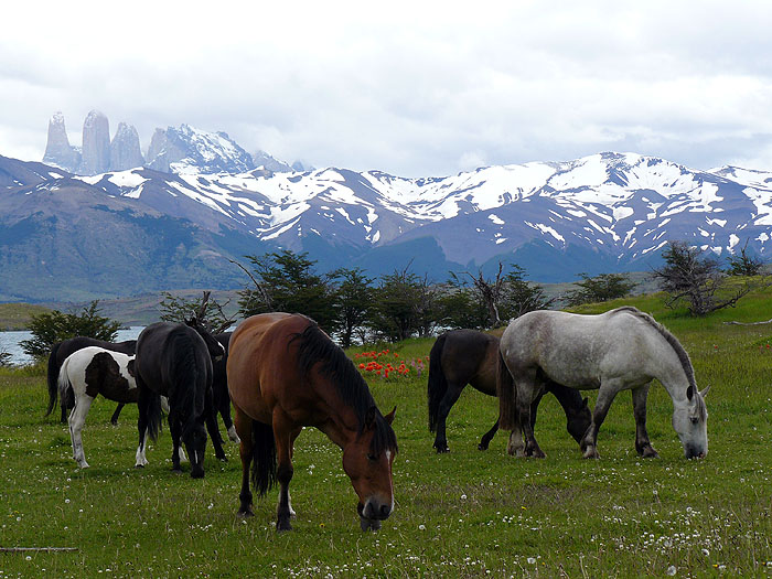 CL1212SM354_torres-del-paine.jpg [© Last Frontiers Ltd]