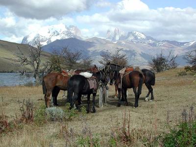 Chile offers some wonderful and varied riding, both fast and slower paced to suit experienced and novice riders. Stay in comfortable lodges or on a family run estancia - there is something for everyone. Itinerary idea thumbnail