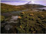 Image: Parinacota - Arica and Lauca