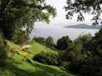 Image: Hotel Antumalal - Pucn and the Northern Lake District, Chile