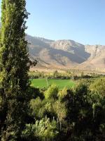 Image: Hacienda Los Andes - La Serena and the Elqui valley, Chile