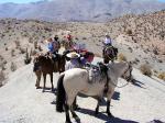 Image: Hacienda Los Andes - La Serena and the Elqui valley, Chile