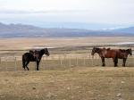 Image: Estancia Cerro Guido - Torres del Paine, Chile