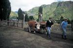 Image: Futaleufu Lodge - Northern Carretera Austral, Chile