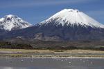 Image: Lauca - Arica and Lauca