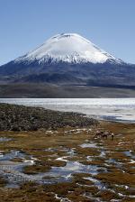 Image: Lauca - Arica and Lauca