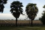 Image: Casa Donoso - Central Andes and wine valleys, Chile