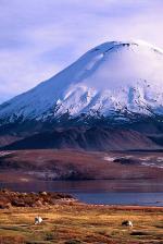 Image: Chungar - Arica and Lauca