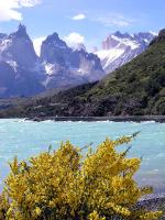 Image: Torres del Paine - Torres del Paine