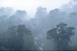 Image: Pumaln - Northern Carretera Austral