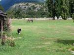 Image: Futa Lodge - Northern Carretera Austral, Chile