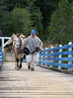 Image: Trans-continent ride - Puelo and the Southern Lake District