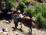 Image: Cajn del Maipo - Central Andes and wine valleys