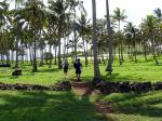 Image: Anakena beach - Easter Island