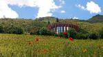 Image: Lapostolle Residence - Central Andes and wine valleys, Chile