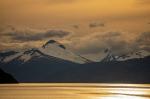 Glacier alley - Punta Arenas and Puerto Williams, Chile