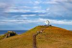 Cape Horn - Punta Arenas and Puerto Williams, Chile