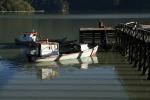 Image: Tortel - Southern Carretera Austral