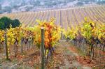 Image: La Casona - Central Andes and wine valleys