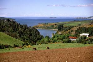 Chiloé Island image