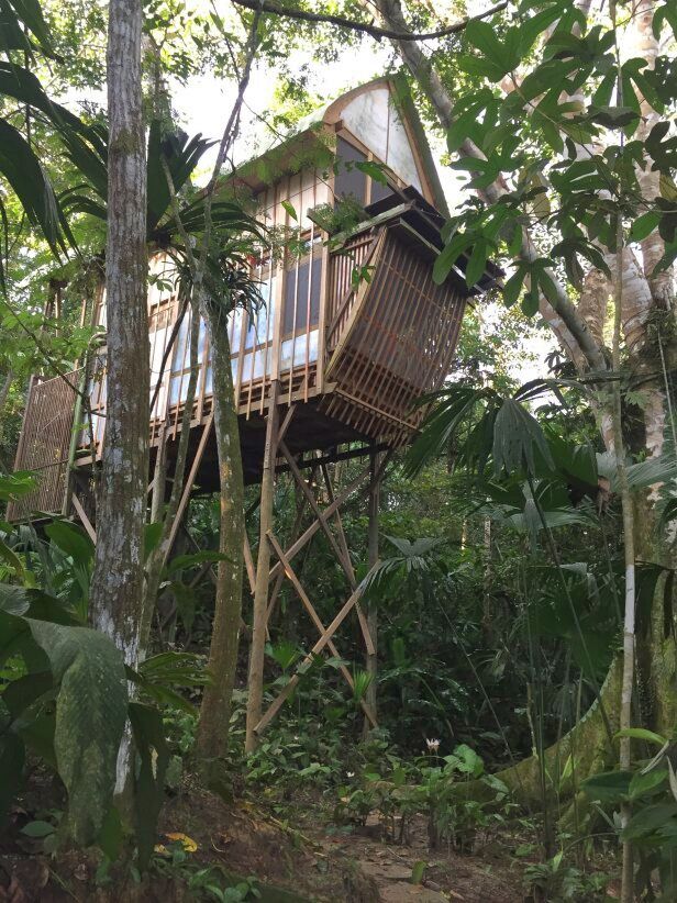 CO2310CJ011_calanoa-cabana-yai-tree-top.jpg [© Last Frontiers Ltd]