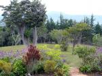 Image: Hostal Anacaona - Popayn and San Agustn, Colombia